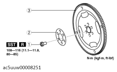 G13674161