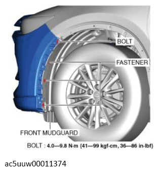 G13675654