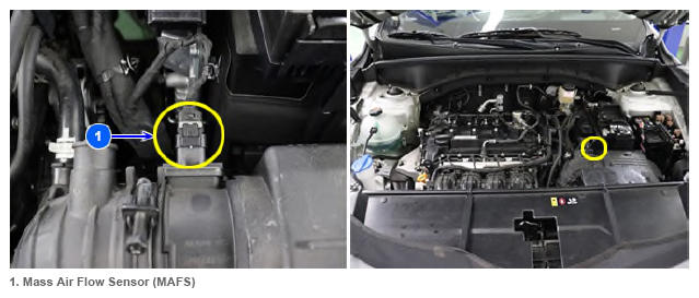 G13679999