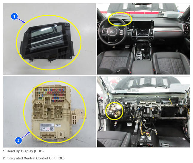 G13683621