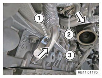 G13690281