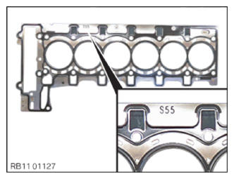 G13690313