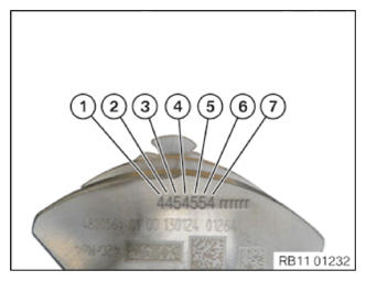 G13690453