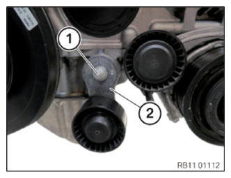 G13690496