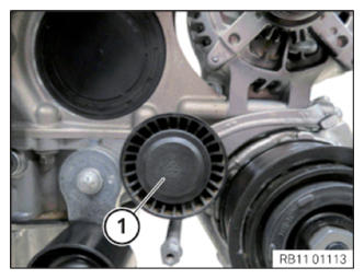 G13690497