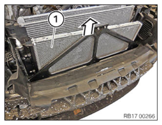 G13691292