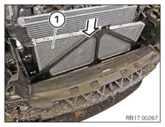 G13691293