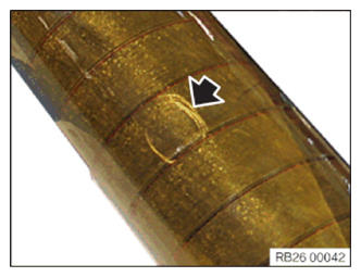 G13691528