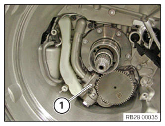 G13691674