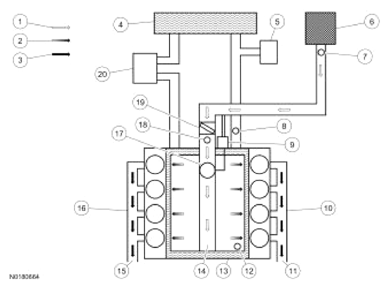 G13711215