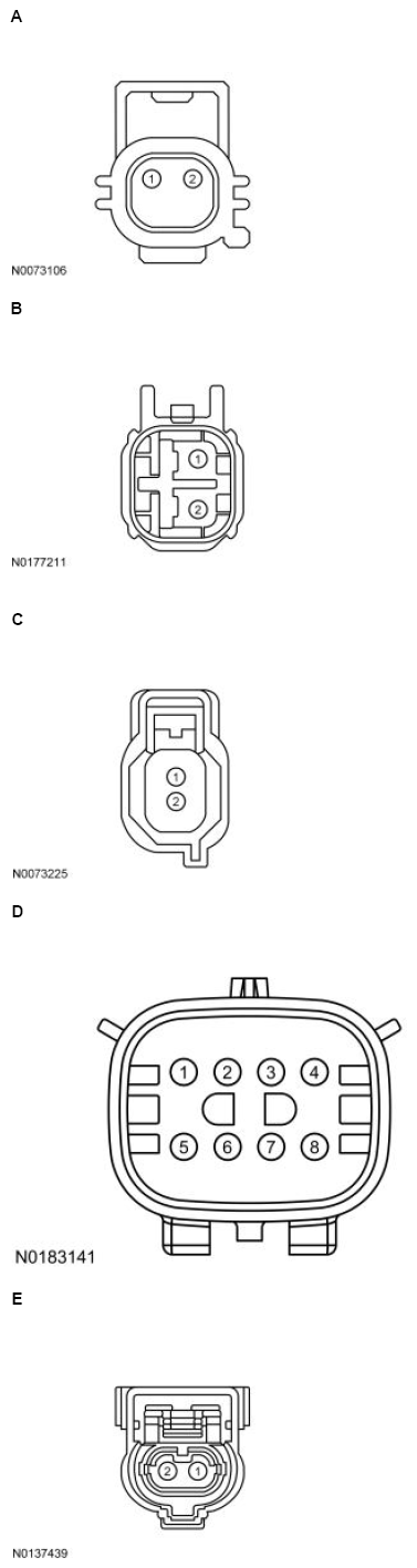 G13711296