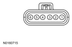 G13711356