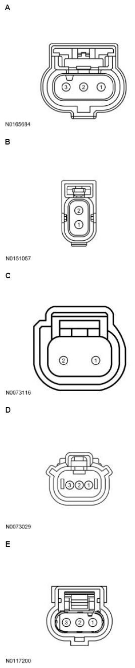 G13711363