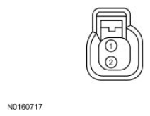 G13711396