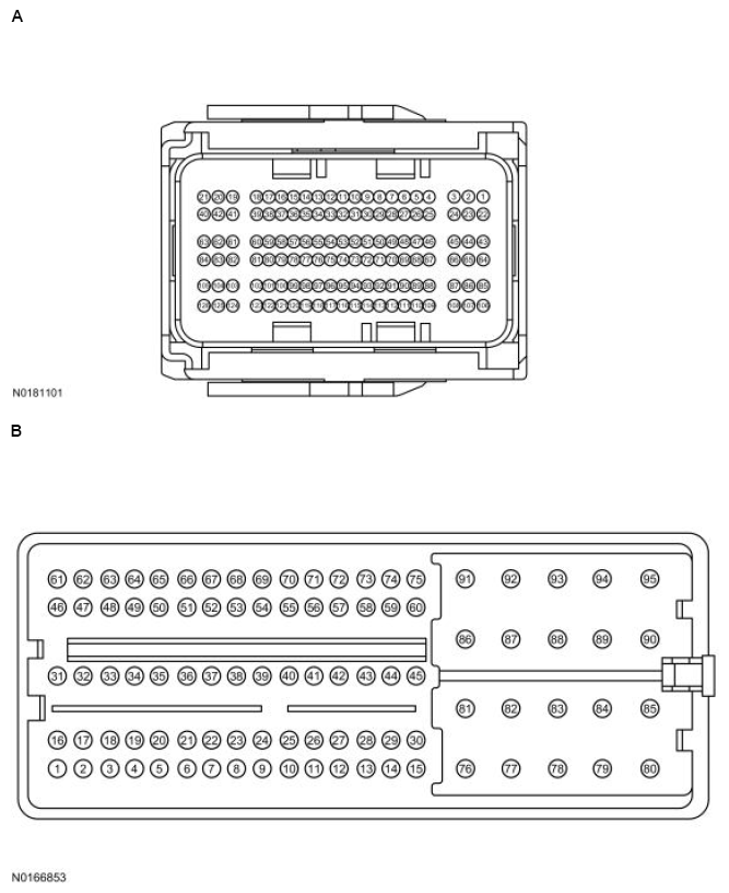 G13711591