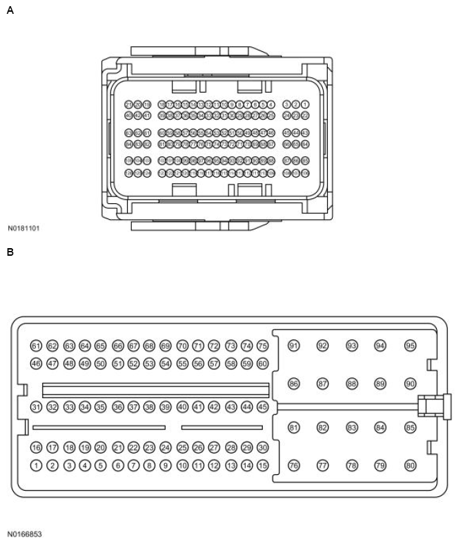 G13711598