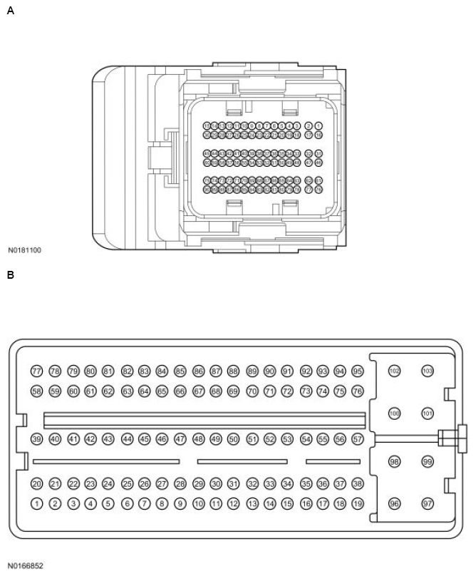 G13711668