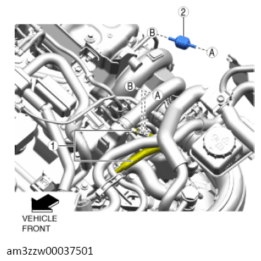 G13713497