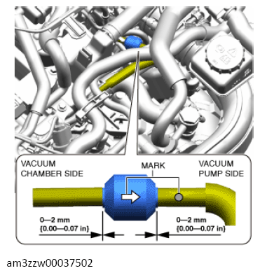 G13713498