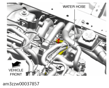 G13713499