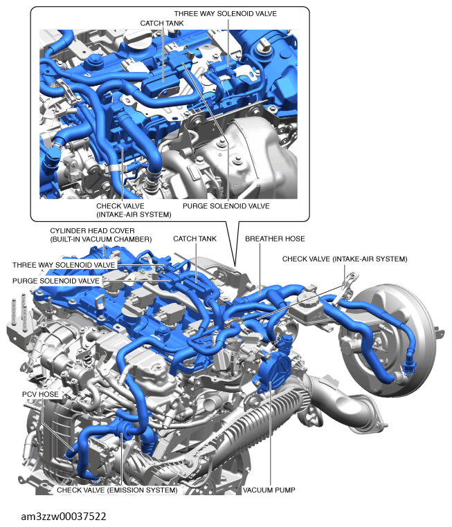 G13713517