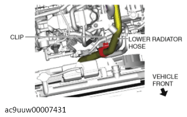 G13720654