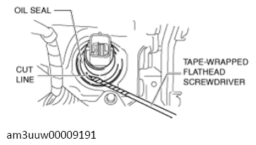 G13740007