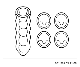 G13743394