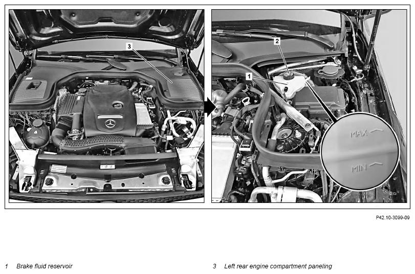G13746499
