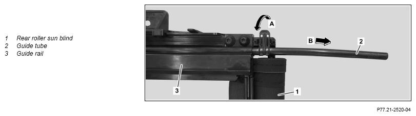 G13747381