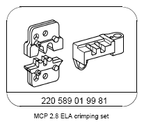 G13769393