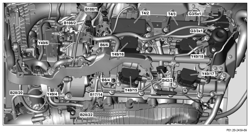 G13770036