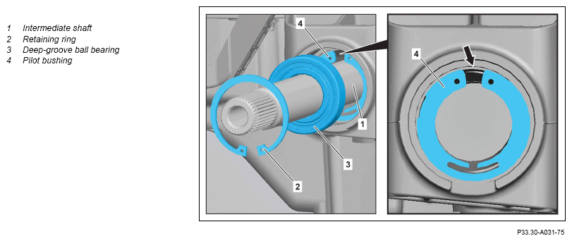 G13771996