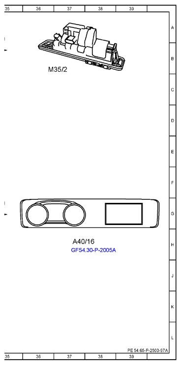 G13773539