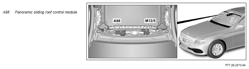 G13774651