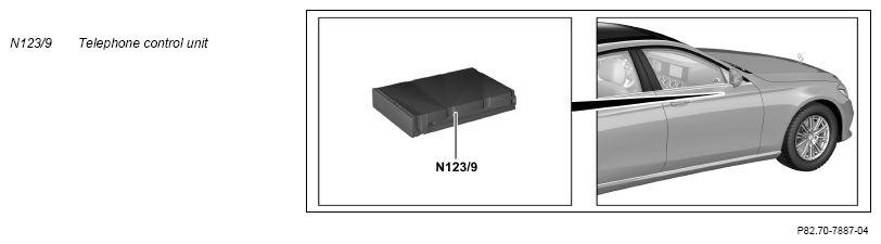 G13774873
