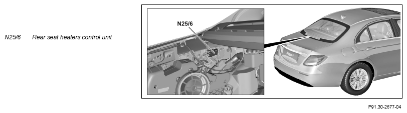 G13775785