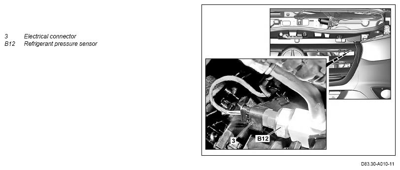 G13791681