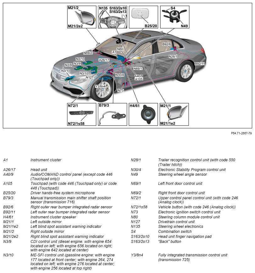 G13796334