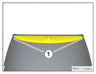 G13797332