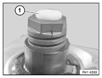 G13797464