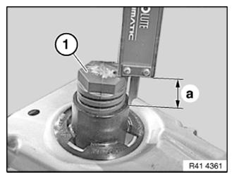 G13797466