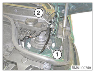 G13797495