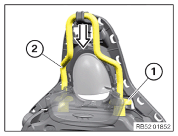 G13798131