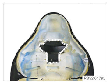 G13798139