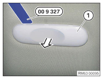 G13825782