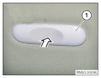 G13825784