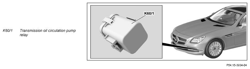 G13847556