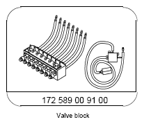 G13847956