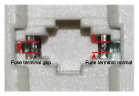 G13850589